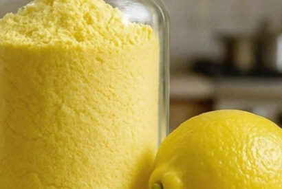 Thumbnail for Making lemon powder is very easy